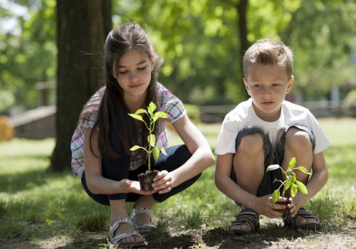 Kinder pflanzen Bäume
